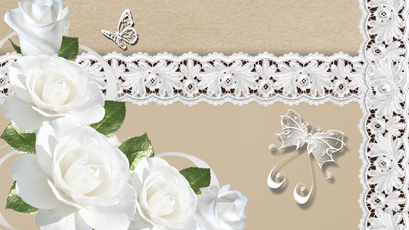 White Roses and Lace Border