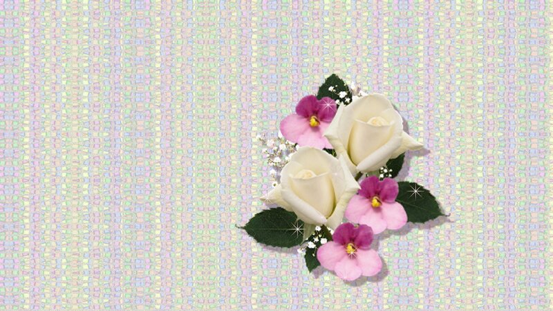 White Roses and Pink Flowers — Calm