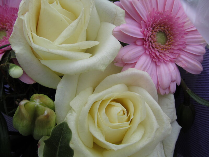 White Roses and Pink Gerbera