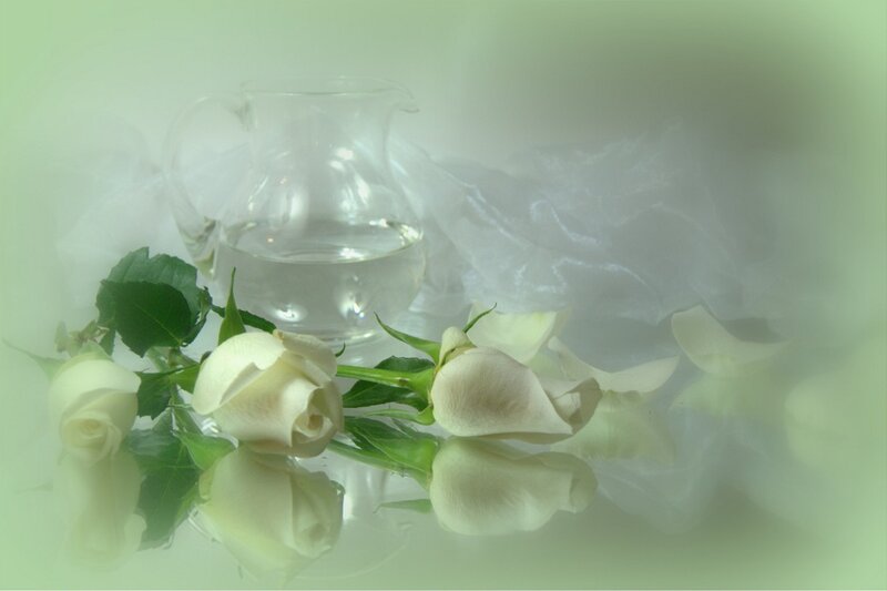 White Roses and Pitcher