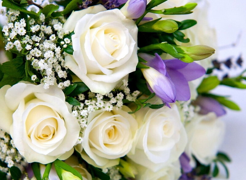 White Roses and Purple Flowers — Calm