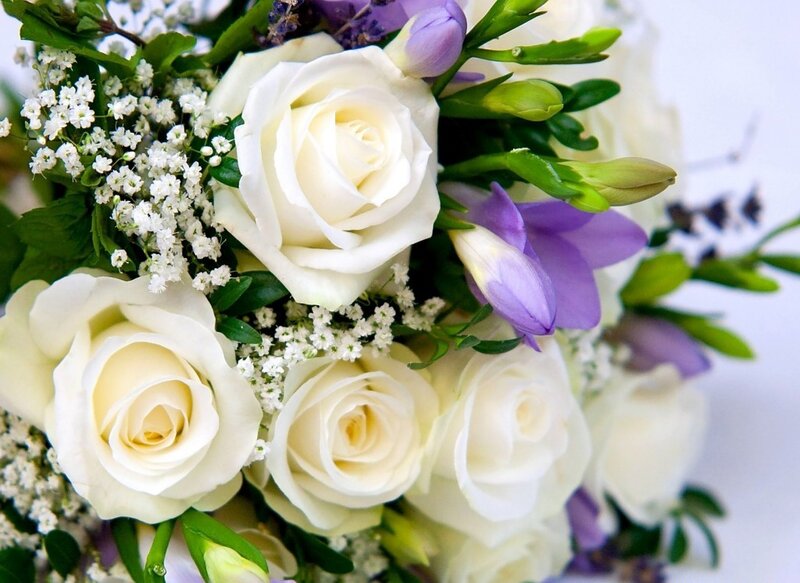 White Roses and Purple Flowers — Serene