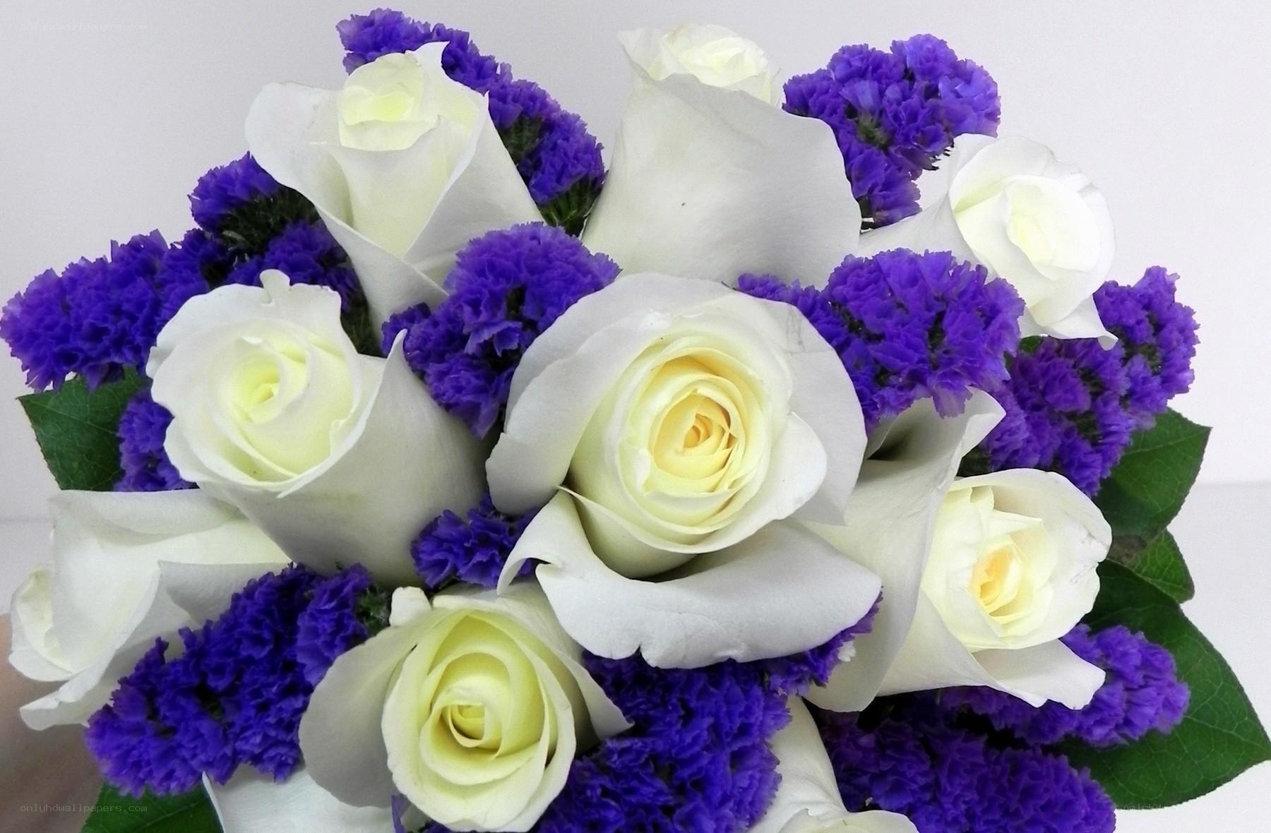 white roses and purple flowers