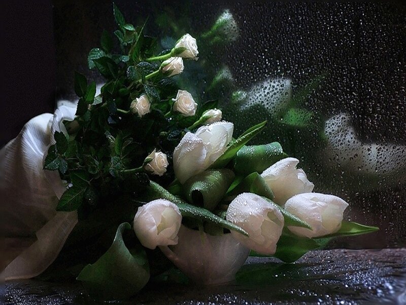 White Roses and Tulips