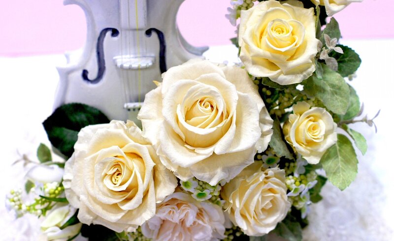 White Roses and Violin — Serene
