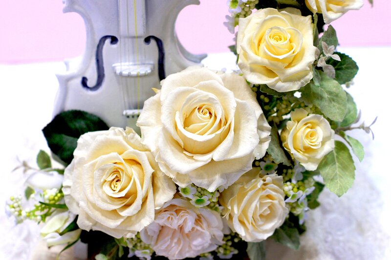 White Roses and Violin