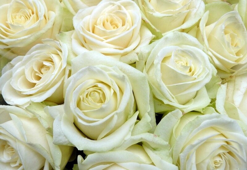 White roses bouquet