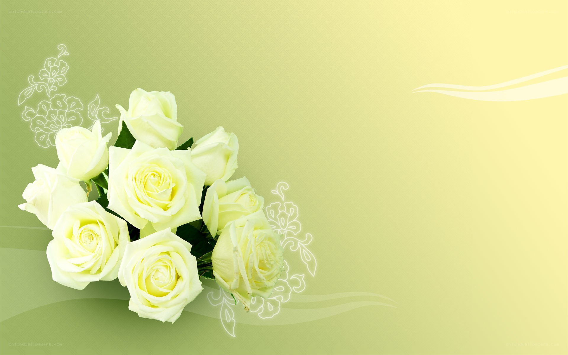 white roses bouquet