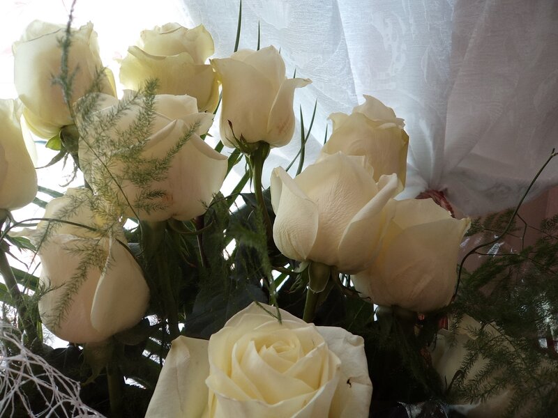 White Roses Bouquet — Calm, Photograph, Greenery