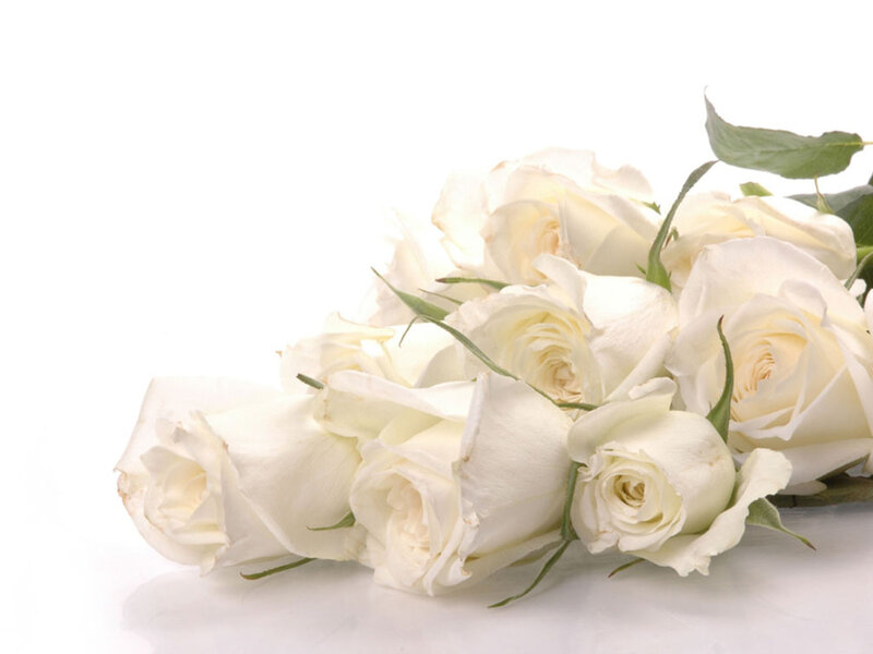 White Roses Bouquet — Calm, Photograph, Leaves