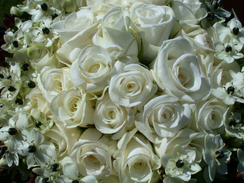 White Roses Bouquet — Calm