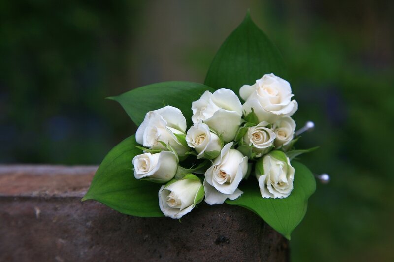 White Roses Bouquet — Serene, Photograph, Green Leaves, Brown Surface