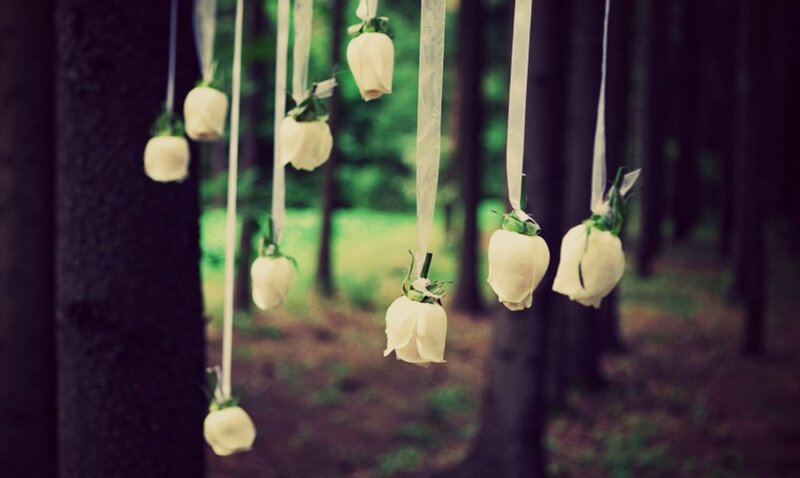 White Roses Hanging