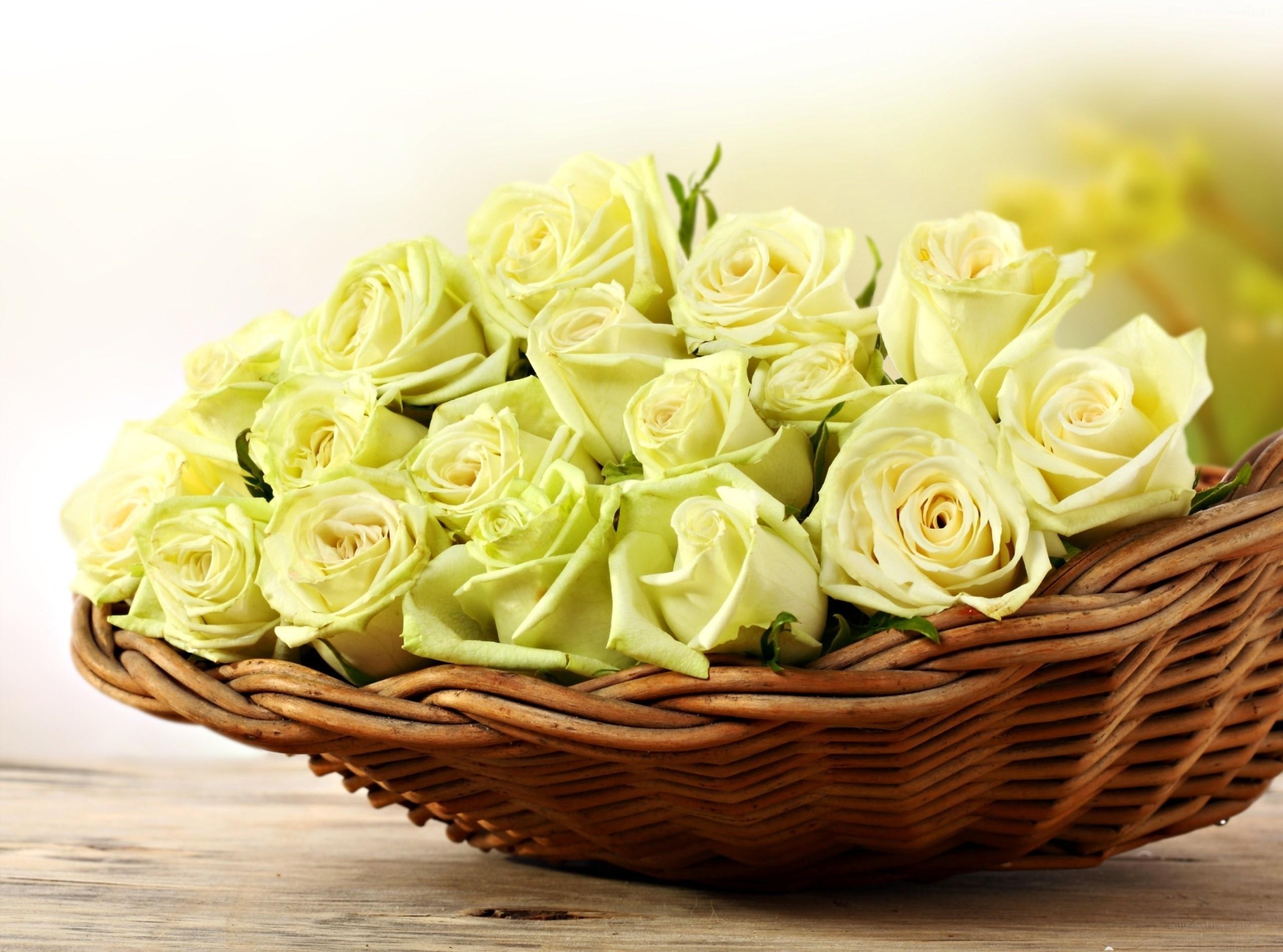 white roses in a basket