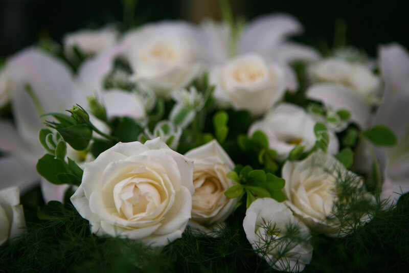 white roses in a bouquet