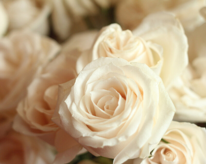 White Roses in a Bouquet — Calm