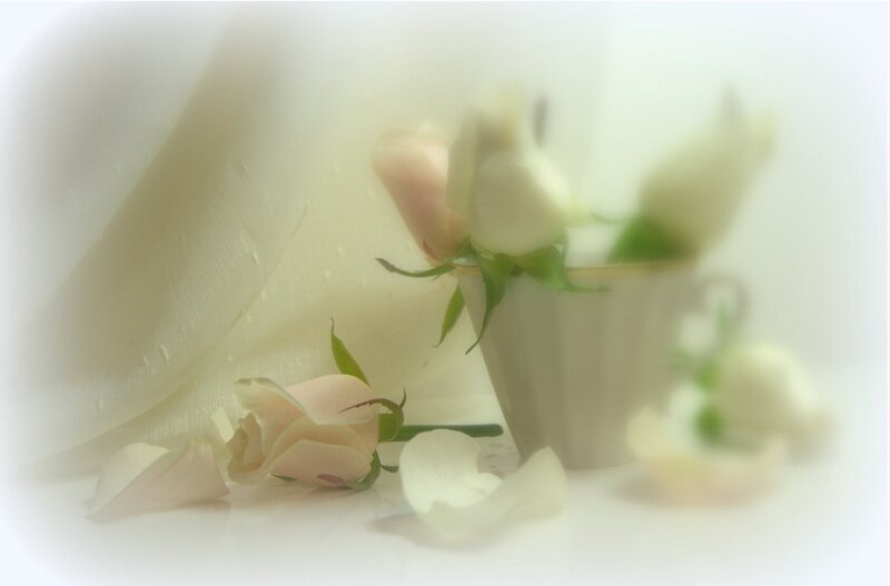 White Roses in a Cup