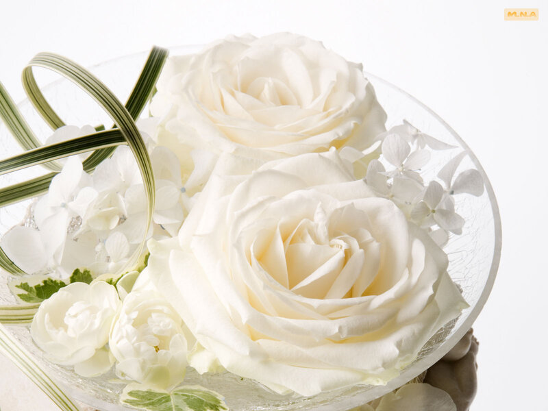 White roses in a glass bowl