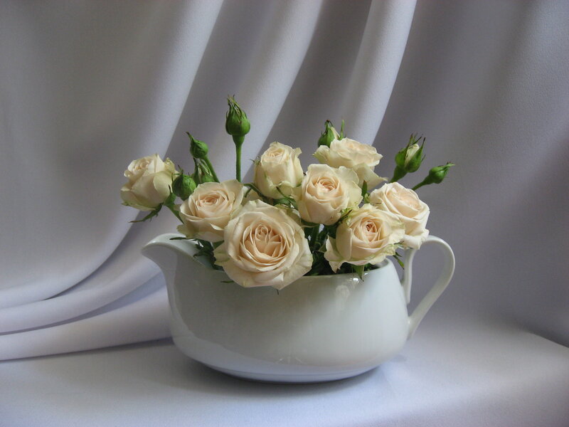 White roses in a pitcher