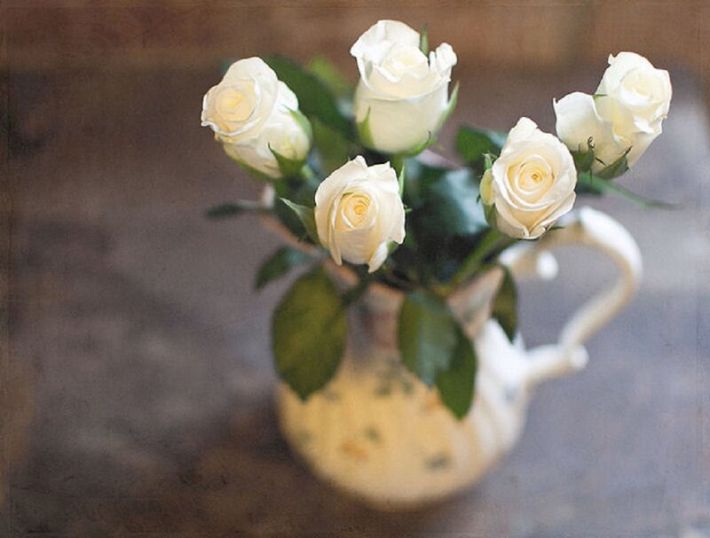 White Roses in a Pitcher — Calm