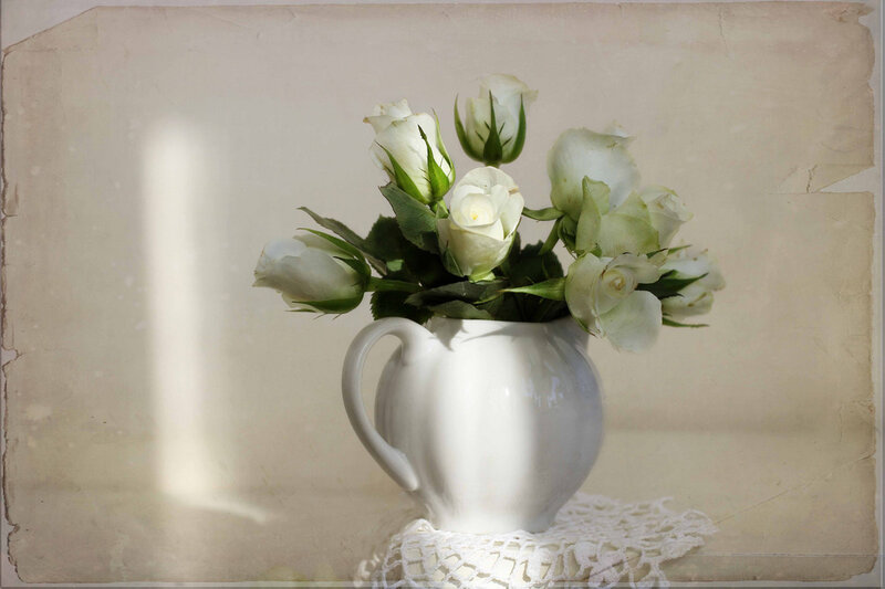 White Roses in a Pitcher — Serene