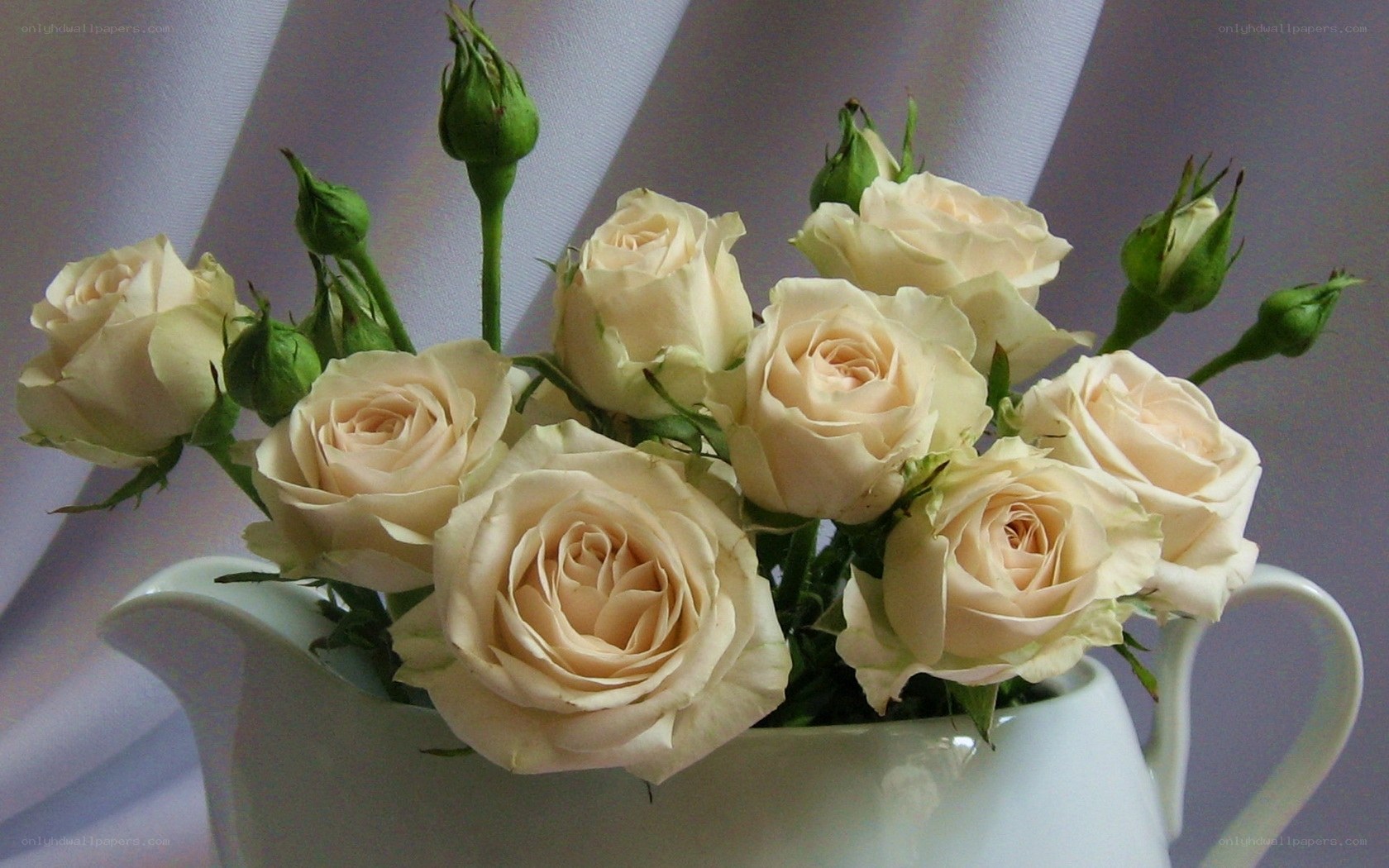 White roses in a pitcher