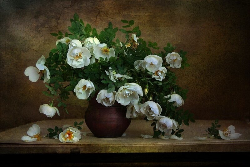 White Roses in a Vase — Brown