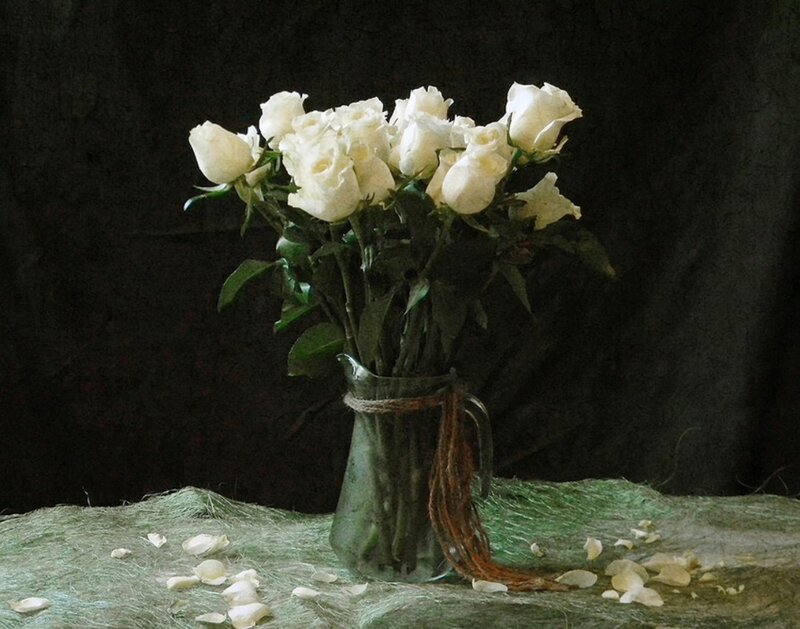 White Roses in a Vase — Dramatic, Photograph