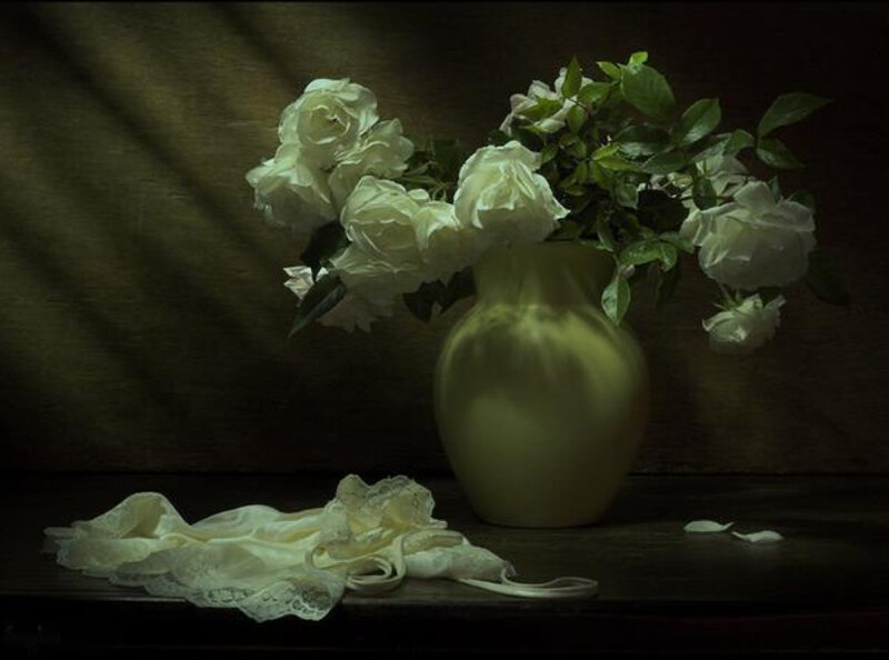 White Roses in a Vase — Dramatic