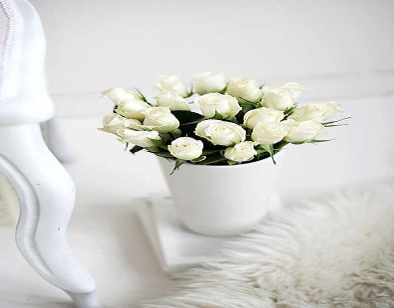 White Roses in a Vase — Serene, Photograph, Chair