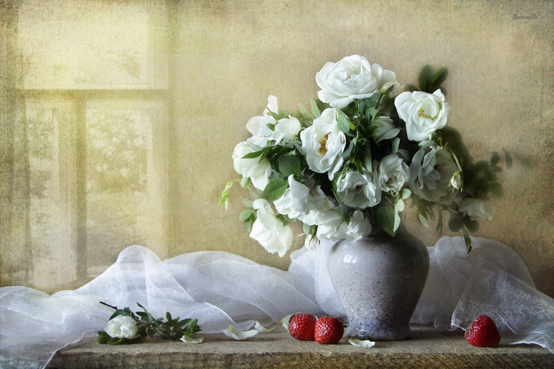 White Roses in a Vase — Serene, Photograph