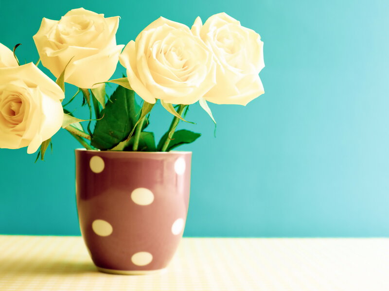 White Roses in a Vase — Teal