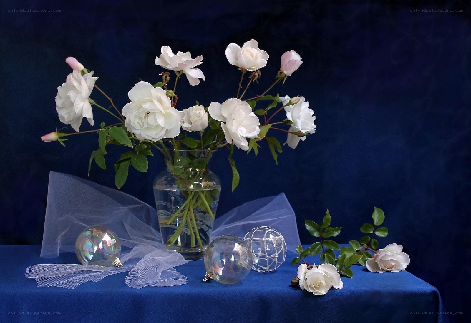 White roses in a vase