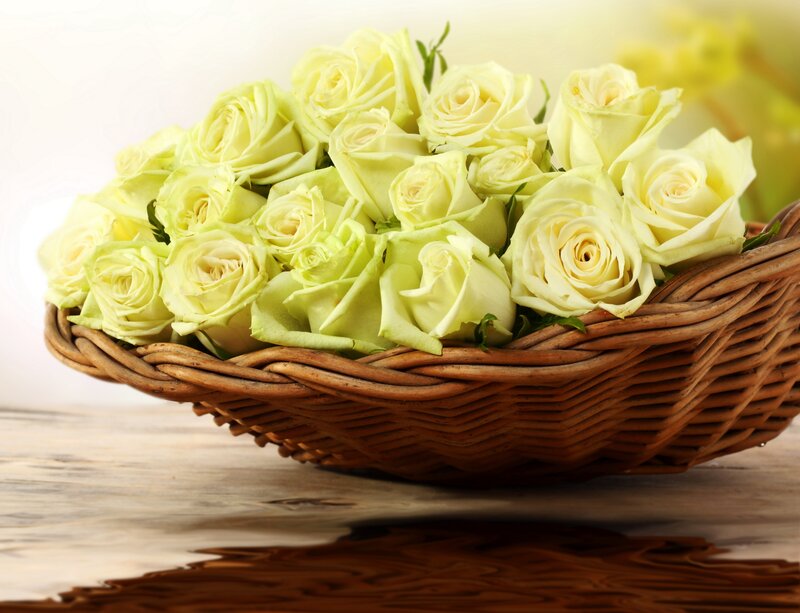 White roses in a wicker basket