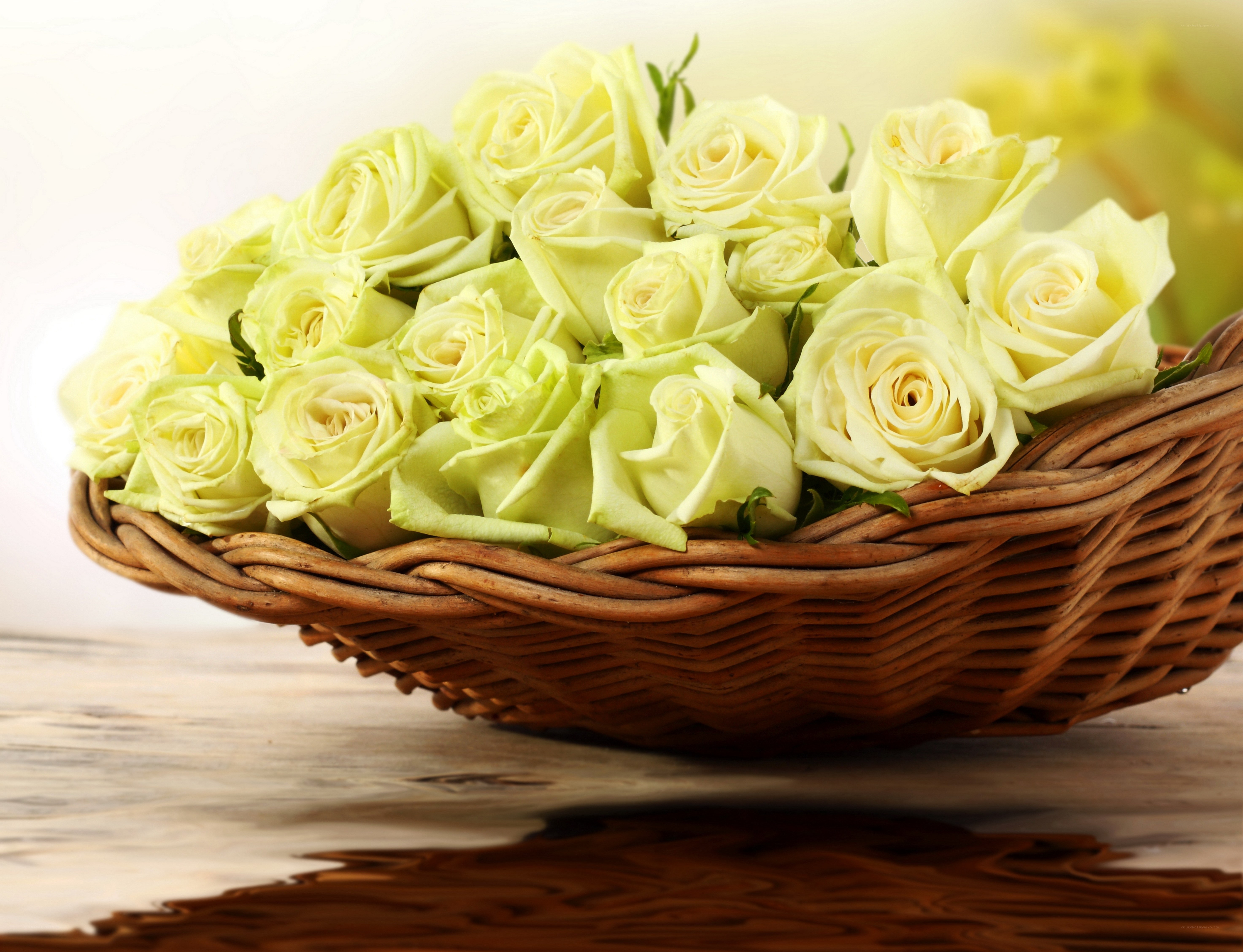 White roses in a wicker basket