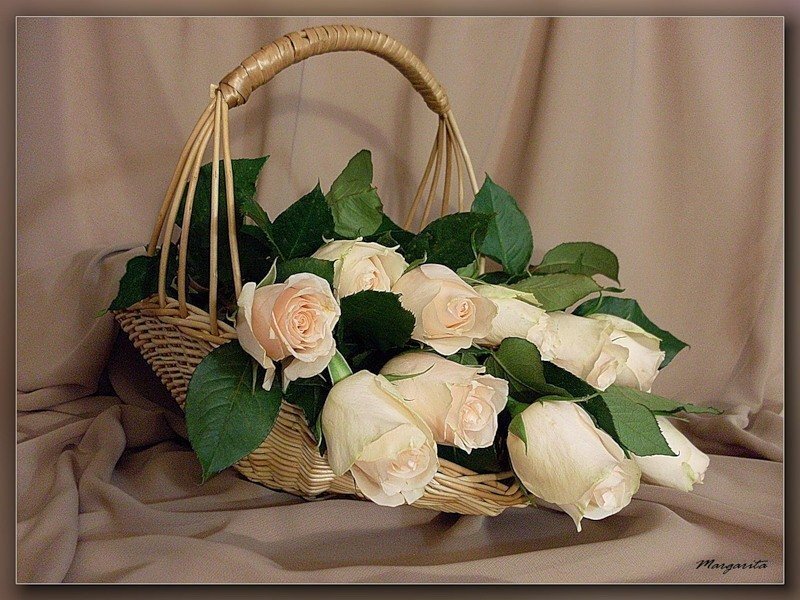White Roses in Basket — Beige