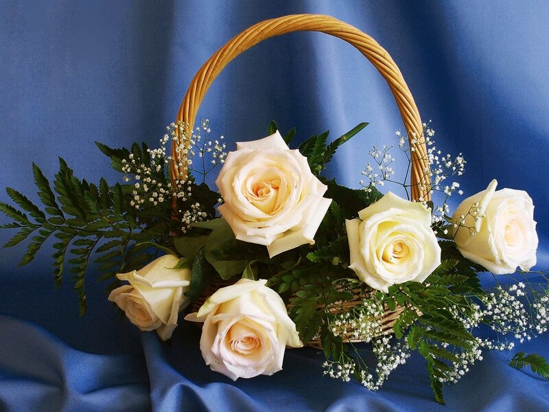 White Roses in Basket — Blue, Serene