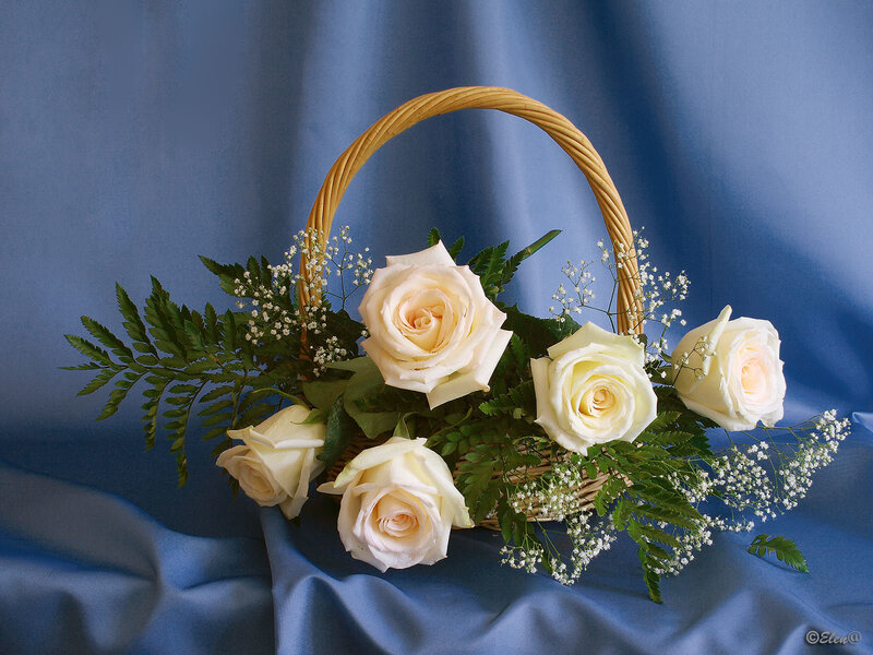 White Roses in Basket — Blue