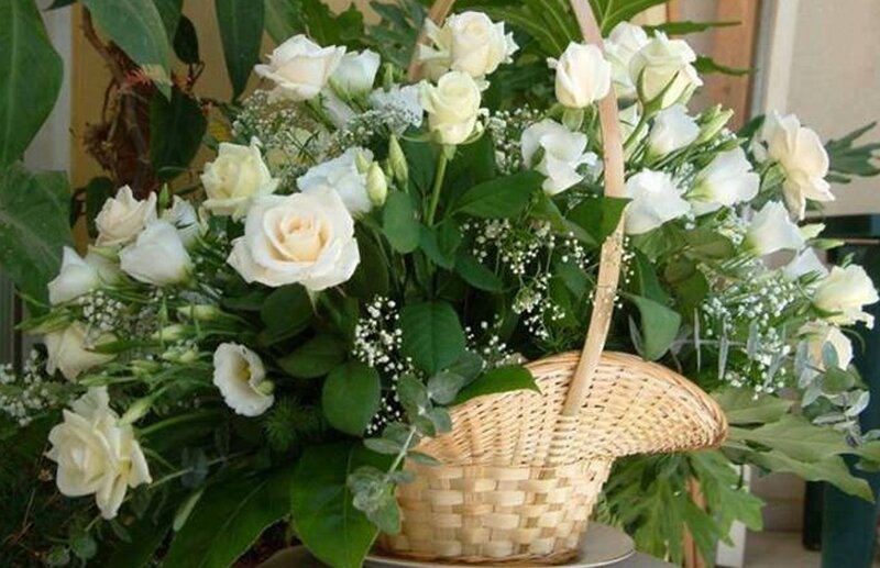 White Roses in Basket — Calm, Photograph, Green Leaves