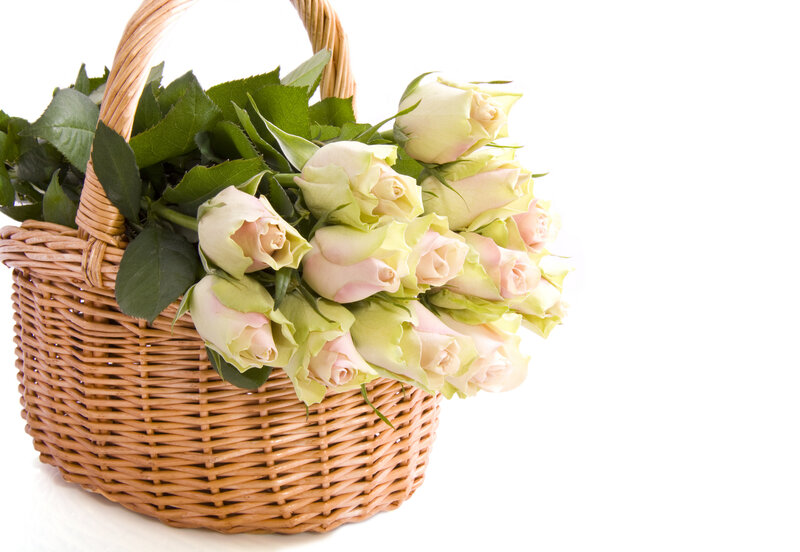 White Roses in Basket — Calm