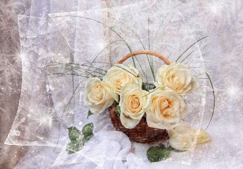 White Roses in Basket — Serene, Digital Art