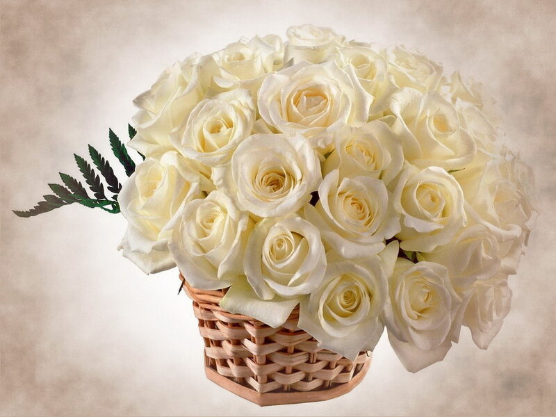 White Roses in Basket — Serene, Photograph, Green Leaf