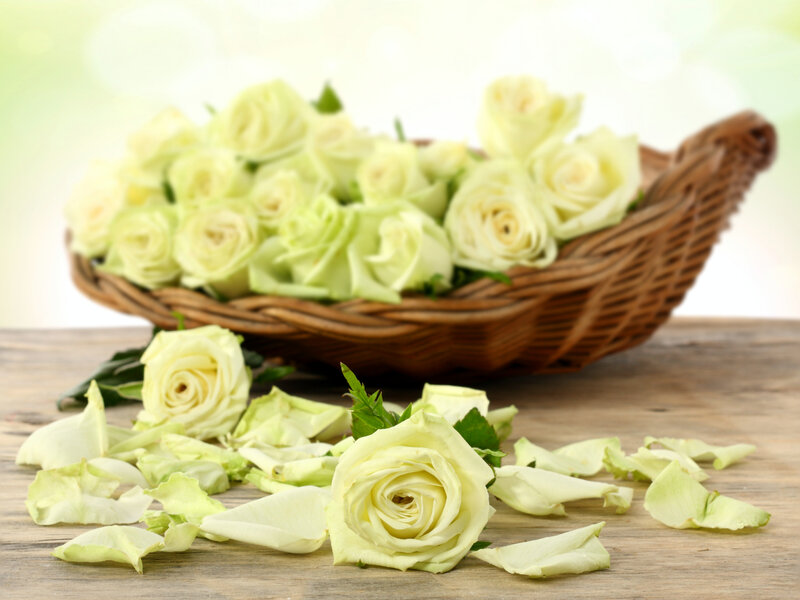 White Roses in Basket — Serene, Photograph