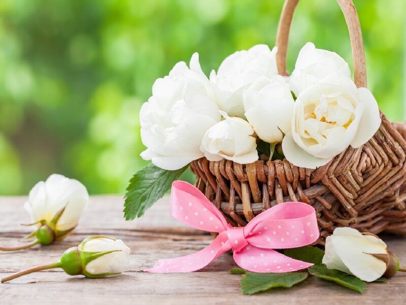 White Roses in Basket — Serene, Spring