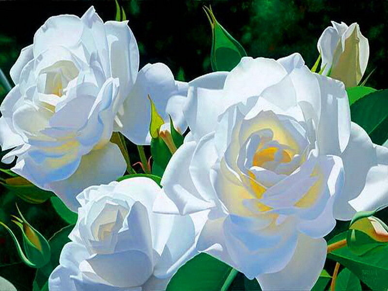 White Roses in Bloom — Serene, Painting