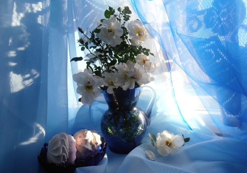 White Roses in Blue Vase — Serene, Morning