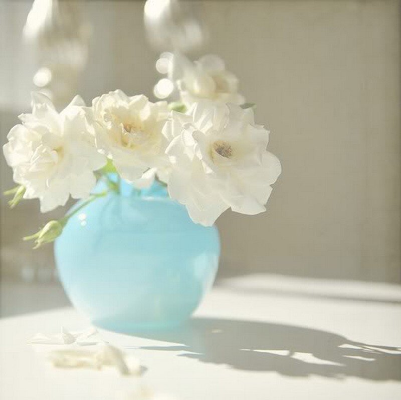 White Roses in Blue Vase — Serene