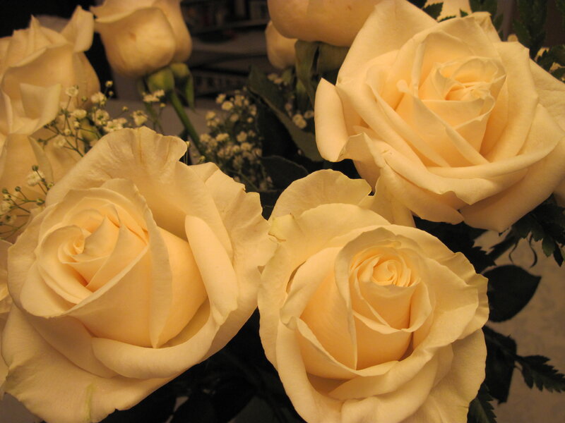 White Roses in Bouquet — Cream