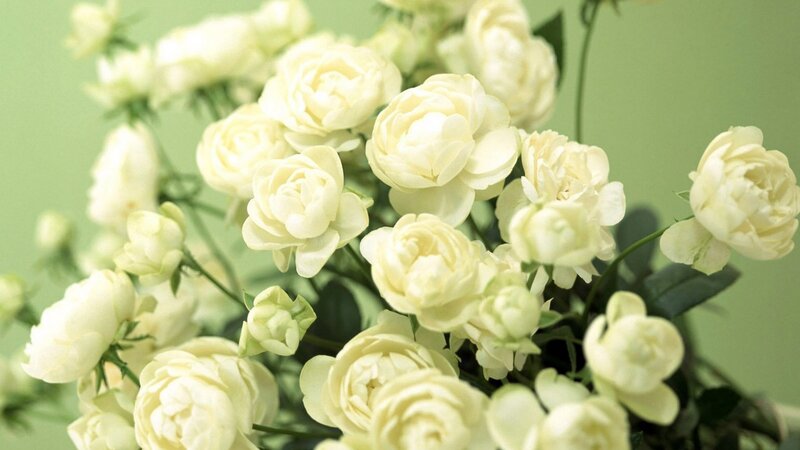 White Roses in Bouquet — Serene, Photograph, Flowers