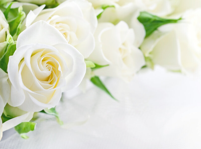 White Roses in Bouquet — Serene, Photograph, Green Leaves